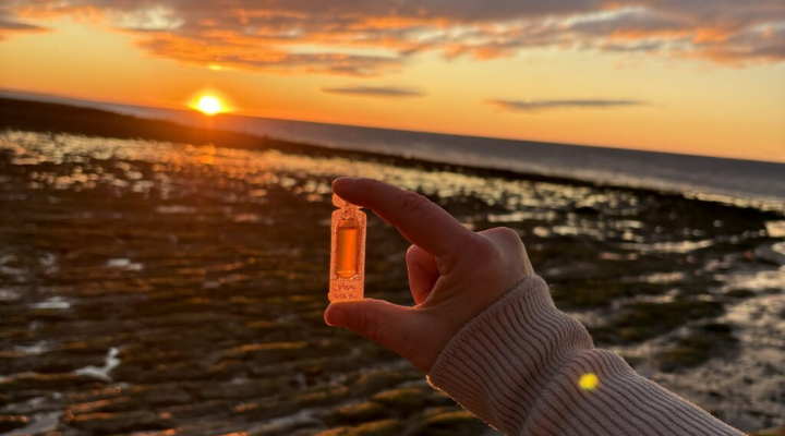 Promarine por dentro: cómo desarrollamos suplementos con base científica, seguridad y transparencia