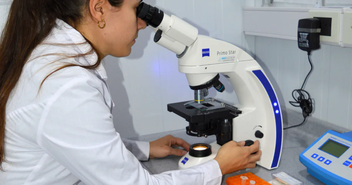 Las mitocondrias: pequeñas estructuras, un papel enorme Las mitocondrias: pequeñas estructuras, un papel enorme